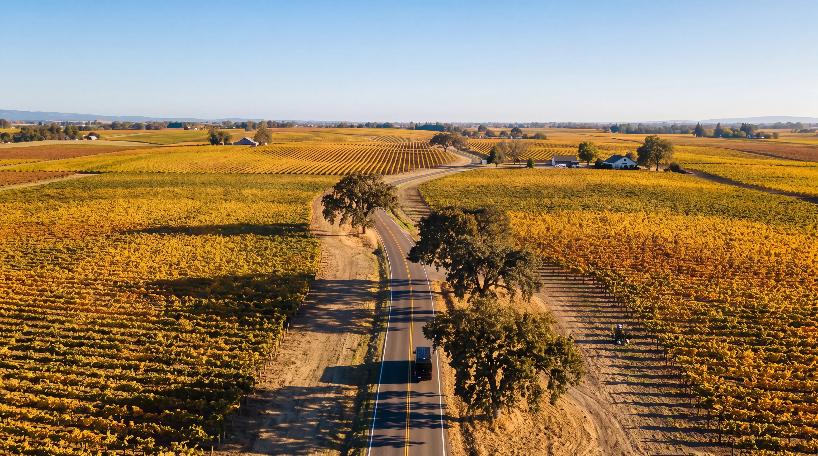 Winery Day Trips | Baki Tour, New York